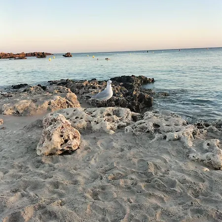 Apartman Acogedor Apartamento En - Pura Menorca 19